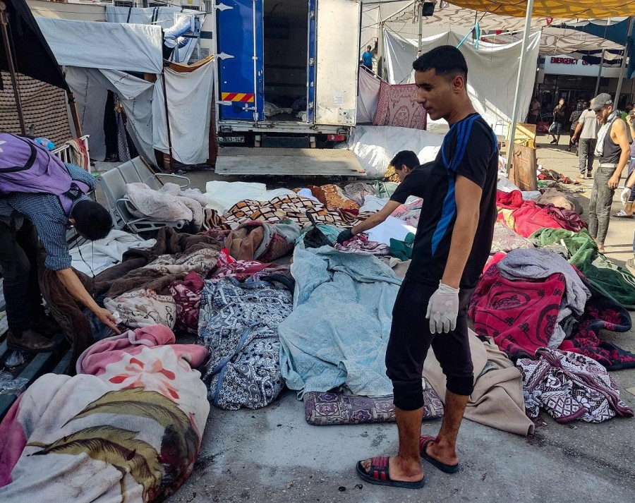 ناشطة فلسطينية: الكلاب تنهش جثث الشهداء بغزة والاحتلال يمنع دفنها