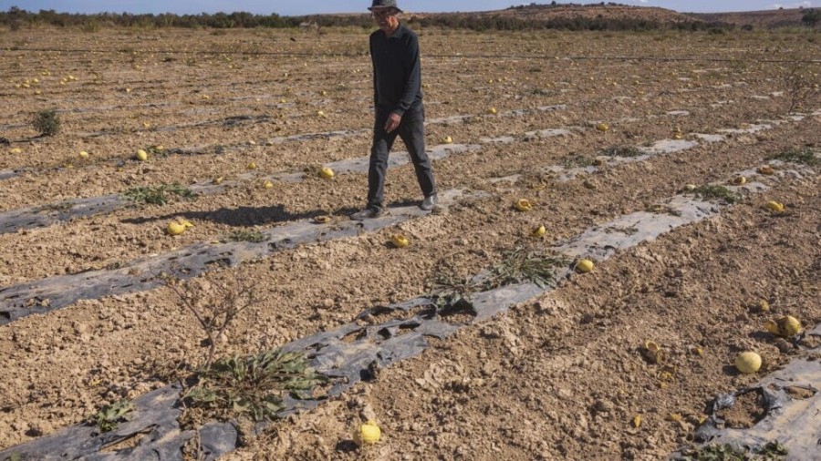 المغرب يواجه أسوأ موجة جفاف منذ أربعة عقود